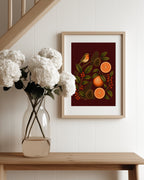 Christmas Robin & Oranges Art Print